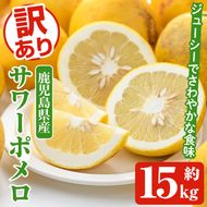 ＜先行予約受付中！2027年1月以降順次発送予定＞訳ありサワーポメロ(約15kg) 国産 果物 フルーツ 柑橘 甘味 酸味 デザート おやつ【松永青果】akn053-44