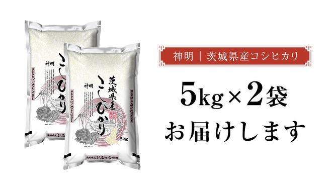 【 選べる 精米 無洗米 / 単品 定期便 】 こしひかり 10kg（5kg×2）令和7年産 茨城県 国産 お米 米 コメ 白米 ライス ご飯 おいしい コシヒカリ ごはん 新生活 プレゼント 新生活応援 必要なもの 便利 おすすめ 消耗品 一人暮らし 二人暮らし 必要
