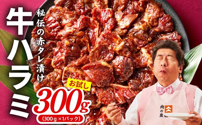 010B1883 【お試し】牛ハラミ 300g【お試し 秘伝の赤タレ漬け 牛肉 焼肉用 焼くだけ はらみ 小分け BBQ やきにく 肉厚 高評価 訳あり サイズ不揃い】