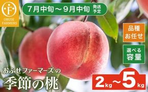 季節の桃 約2kg 約3kg 約5kg 選べる内容量 ［ おぶせファーマーズ ］桃 もも モモ ピーチ フルーツ 果物 たまき なつき あかつき 川中島白鳳 なつっこ 川中島白桃 黄金桃 だて白桃 先行予約 長野県産 信州産 クール便 冷蔵便 お取り寄せ 産地直送 数量限定 産地 直送  先行予約 2026 令和8年産【2026年7月中旬～9月中旬発送】