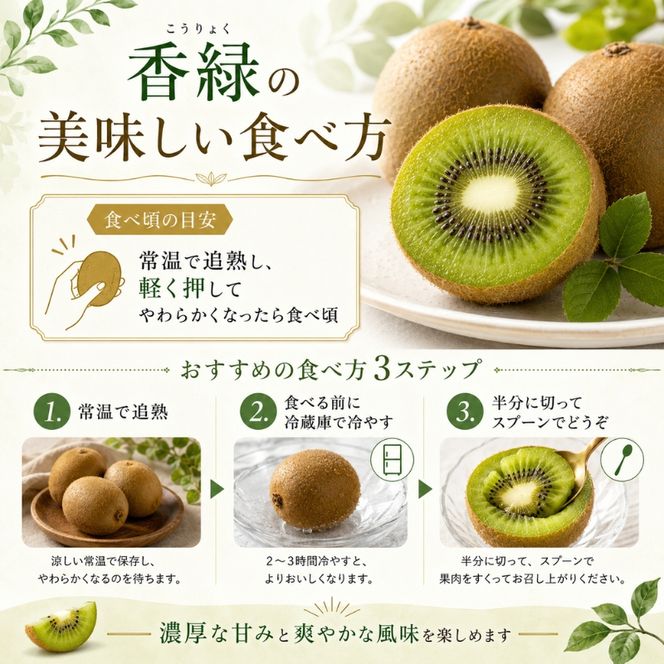 香川オリジナルキウイフルーツ「香緑（こうりょく）」約3kg 果物類 果物詰合せ 