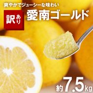 訳あり 河内晩柑 7.5kg サイズミックス 7000円 みかん かわちばんかん ミカン mikan わけあり 愛南ゴールド 家庭用 あいなん ゴールド 美生柑 文旦 派生 和製 グレープフルーツ 産地直送 国産 農家直送 期間限定 数量限定 特産品 人気 限定 甘い おいしい 小玉 含む フルーツ 果物 柑橘 蜜柑 アイス ジュース 等に 規格外 大樹農園 愛南町 愛媛県