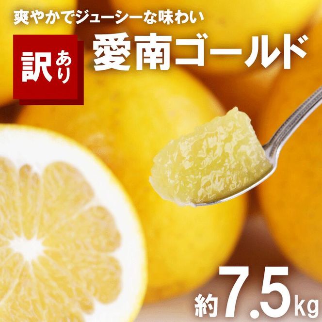 訳あり 河内晩柑 7.5kg サイズミックス 7000円 みかん かわちばんかん ミカン mikan わけあり 愛南ゴールド 家庭用 あいなん ゴールド 美生柑 文旦 派生 和製 グレープフルーツ 産地直送 国産 農家直送 期間限定 数量限定 特産品 人気 限定 甘い おいしい 小玉 含む フルーツ 果物 柑橘 蜜柑 アイス ジュース 等に 規格外 大樹農園 愛南町 愛媛県