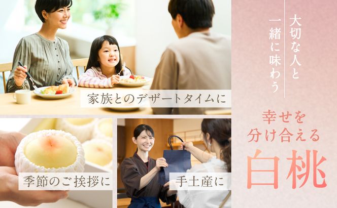 桃 2026年 先行予約 白桃 5玉 合計約1.3kg もも モモ 岡山県産 国産 フルーツ 果物 ギフト