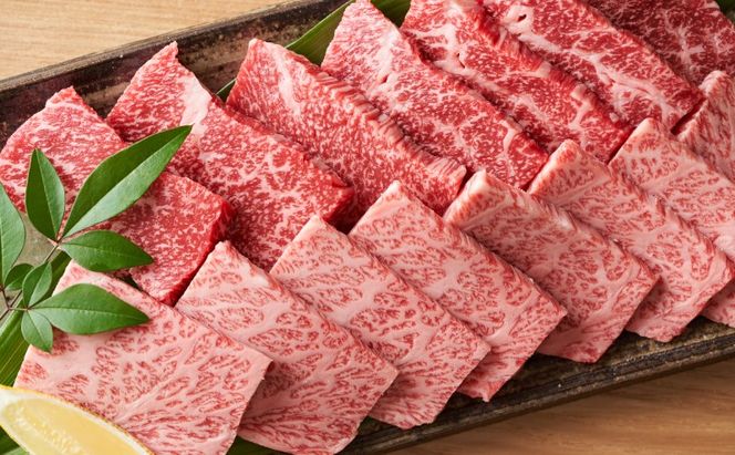 博多和牛 焼肉用 500g
