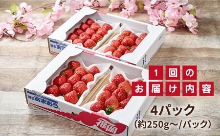 【先行予約】【全2回定期便】糸島産【春】 あまおう 4パック 計1kg 【2026年2月上旬以降順次発送】糸島市 / 南国フルーツ株式会社 [AIK026] いちご ギフト イチゴ 食べ比べ 苗 タルト フルーツ 果物