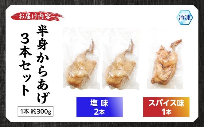 半身からあげ3本セット(塩味×2本 スパイス味×1本)_a0031_hi