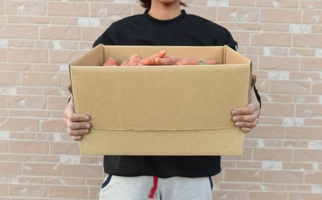 訳あり 規格外 にんじん 約10kg 有機JAS認証取得 栽培期間中農薬 除草剤 化学肥料不使用 野菜 食材 緑黄色野菜 国産野菜 えぐみがない 甘い人参 産地直送 キャロット ベジタブル 