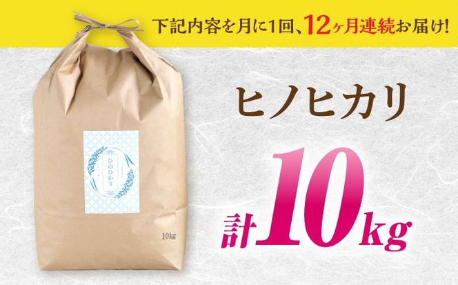 【南島原市産ヒノヒカリ】10kg×12回 定期便 / 米 ヒノヒカリ / 南島原市 / 林田米穀店 [SCO007]