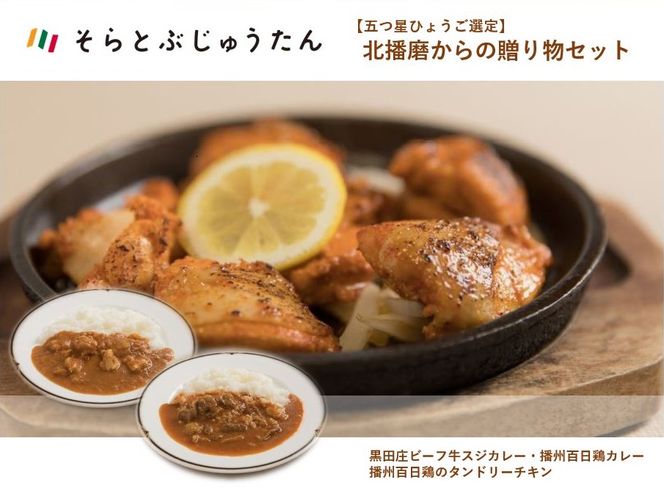 【五つ星ひょうご選定】北播磨からの贈り物セット（カレー＆タンドリーチキン） 14-40