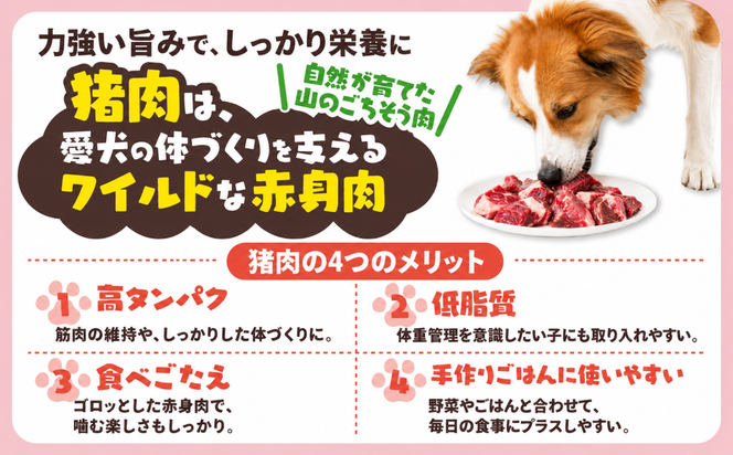 【愛犬用】カット猪肉（ぶつ切り）1kg（250g×4P）＜ペット ペットフード 犬 ワンちゃん個包装 餌 毎日 ジビエ 犬用 おやつ 猪肉 愛媛県産 鬼北町 ドッグフード 冷凍殺菌 特定非営利活動法人Cambio＞