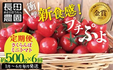 新食感!!奇跡のさくらんぼミニトマトの定期便 約500g×6回コース H004-139