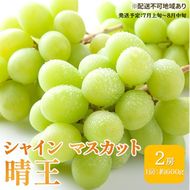 ぶどう 2026年 先行予約 シャイン マスカット 晴王 約600g×2房 ブドウ 葡萄  岡山県産 国産 フルーツ 果物 ギフト シャインマスカット 美しい 大粒 種なし 弾力 高糖度 甘い