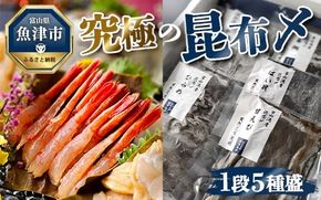 究極の昆布〆、1段5種盛（急速冷凍品）魚卸問屋はりたや 富山県魚津市 昆布締め こぶじめ 刺身 天然昆布 ※北海道・沖縄・離島への配送不可