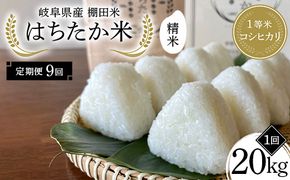 【9回定期便】岐阜県産 棚田米 1等米コシヒカリ はちたか米 精米20kg（10kg×2袋） F4N-2605