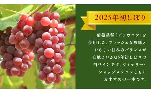 青デラ 750ml ワイン 白ワイン 白 酒 牛久シャトー デラウエア