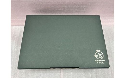 根本農園のカラフルミニトマト 約1.6kg | 野菜 トマト ミニトマト 水切り 濃厚 贈り物 新鮮 ビタミン 美容 健康 ※2026年1月上旬～4月下旬頃に順次発送予定