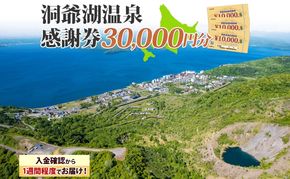 洞爺湖温泉感謝券 30000円 分 金券 クーポン 洞爺湖 湖 温泉 リゾート 有珠山 火山 自然 花火 イルミネーション 旅行 観光 宿泊 施設 宿 アクティビティ 体験 チケット 送料無料 北海道 洞爺湖町