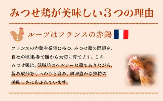 【定期便 年6回】みつせ鶏 バラエティ定期便 鶏肉 みつせ鶏 もも むね ささみ 手羽先 手羽元  ぶつ切り 正肉 バラ凍結 冷凍 国産 唐揚げ 親子丼 チキン南蛮 とり天 定期便