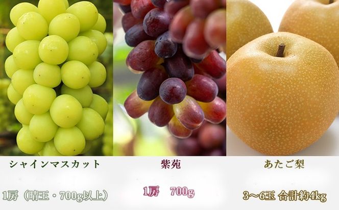 桃 ぶどう 梨 定期便 2026年 先行予約 晴れの国 岡山 の フルーツ 定期便 6回コース もも 葡萄 なし 岡山県産 国産 セット ギフト 白桃 アレキサンドリア ニューピオーネ シャインマスカット あたご梨 
