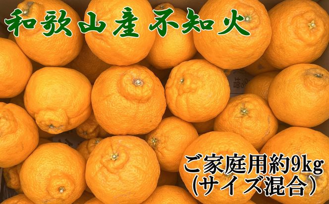 「農園直送」和歌山県産不知火　もりもりの約9kg(サイズ混合　ご家庭用) ※2027年2月下旬～3月下旬頃順次発送予定【tecj1055】