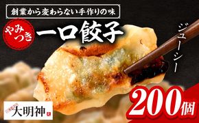 一口餃子 200 個入りタレ４個_kn107-003