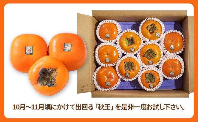 柿 福岡限定! ブランド柿「秋王(あきおう)」約3kg(8-12玉) かき フルーツ 果物 ※配送不可:離島