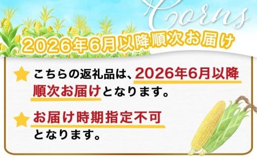 【先行受付】朝どれ!!都城産スイートコーン(味来コーン)5kg 15本以上_12-B401-6_(都城市) 朝どれ とうもろこし スイートコーン 5キロ 約15本以上 産地直送 みずみずしい あまい