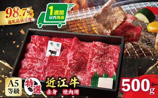【1週間以内発送】A5等級未経産雌牛　特撰近江牛 赤身 焼肉 500g 折箱入り ギフト【FO40W】