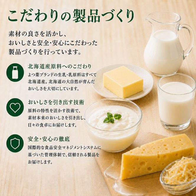 よつ葉 「パンにおいしいよつ葉バター」100g×6【 よつ葉 パンにおいしいバター おすすめ ランキング トースト 塗りやすい 有塩 高級 比較 北海道 十勝 幕別 】