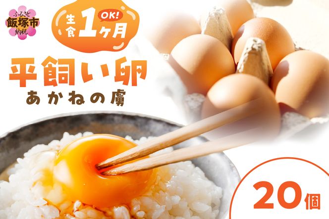 yђˎszyA-841zqr˂̗i20j