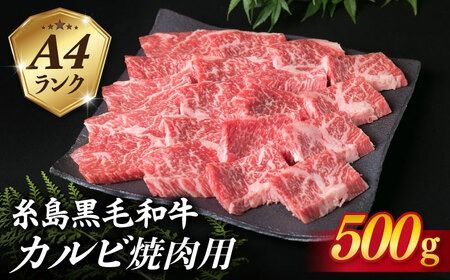 【焼肉用】A4ランク 糸島 黒毛和牛 カルビ 500g 《糸島》 【糸島ミートデリ工房】 [ACA049] 博多 和牛 焼肉 焼き肉 バーベキュー BBQ 赤身 国産 キャンプ アウトドア