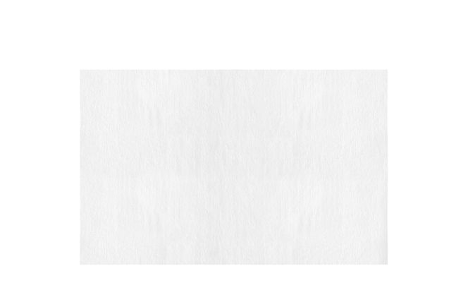 ペット ウェットティッシュ ボディー用 25枚入り×36P DBWT アイリスオーヤマペット用タオル ペット用品 犬 イヌ いぬ ネコ 猫 ねこ