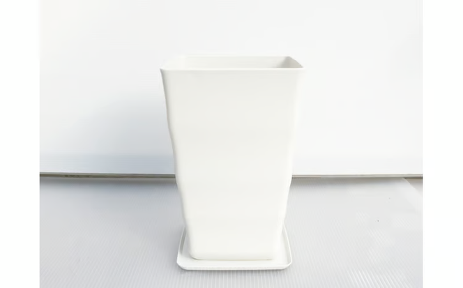 沖縄の観葉植物 人気のフィカス ベンガレンシス7号　角鉢