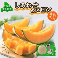 ＜2026年発送＞ ふらの産 しあわせのメロン 赤肉 大玉 1玉 約2.3kg メロン 富良野メロン