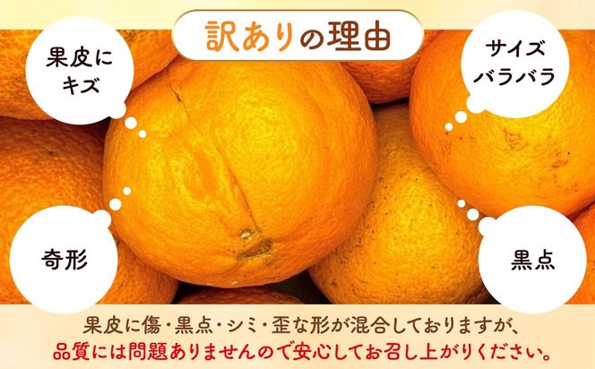 不知火 訳あり それでも 有田の不知火 箱込 2.5kg (内容量約 2.3kg) サイズミックス 和歌山県産 産地直送 【みかんの会】	AX145
