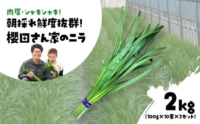 ytRszys\zy12甭zEVLVL! ̂NxQ! NcƂ̃j 2kg(100g×10×2Zbg) SMCS002