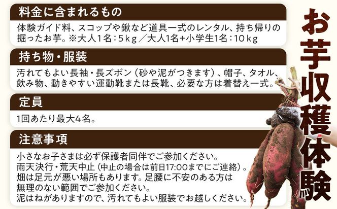 1284.【要予約 大人1名様用】北栄町 お芋収穫体験　長芋・ねばりっこ・とっくり芋・里芋・さつまいも　掘ったお芋5kg付き 313726_BW021