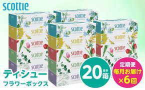 【定期便6回】【毎月お届け】【スコッティ】 ティシュー フラワーボックス 250組 20箱 計120箱 ティッシュ 日用品 生活必需品 消耗品 紙 まとめ買い 備蓄 防災備蓄 ストック デザインボックス 新生活 防災 生活用品 日用消耗品 箱ティッシュ