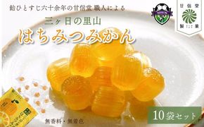 飴 はちみつみかん 10袋 静岡の恵みシリーズ 三ケ日の里山 はちみつ みかん あめ アメ 個包装 おかし お菓子 おやつ 静岡県 藤枝市 甘信堂製菓