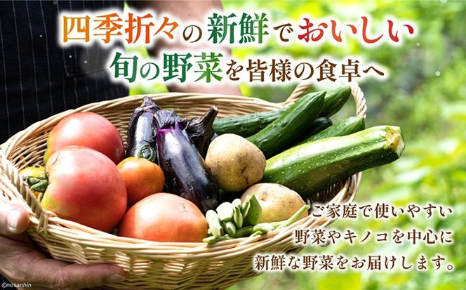 【6回定期便】2ヵ月に1回 旬の新鮮 野菜詰め合わせセット（10品～12品）/ 野菜 定期便 やさい 定期便 野菜セット やさいセット 春野菜 夏野菜 秋野菜 冬野菜 旬新鮮 / 南島原市 /長崎県農産品流通合同会社[SCB096]