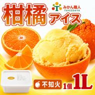 柑橘アイス 1個1000ml【 不知火 】 冷凍 みかん 旬 農家直送 特産品 さっぱり 大人 旨味 アイス ジェラート シャーベット ソルベ アイスクリーム ランキング 人気 業務用 大容量 ホームタイプアイス ファミリーサイズ 家庭用 みかん 柑橘 かんきつ 不知火 デコポン ぽんかん 冷凍 冬 夏 みかん職人武田屋 愛媛県 愛南町