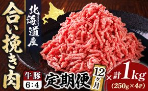 【定期便 12ヶ月連続】北海道産 合い挽き肉 合計1kg（牛6：豚4） 黄金比ひき肉｜挽肉 挽き肉 ひき肉です 合挽肉 合挽き肉 豚 肉 豚肉 豚肉ミンチ 合挽豚肉 牛 肉 牛肉 牛肉ミンチ 合挽牛肉 合い挽き 小分け 一人暮らし セット おかず ハンバーグ 冷凍 定期便 肉 絶品 人気 ヒロセ 12回定期便 定期便 12回 北海道 釧路町 釧路超 特産品