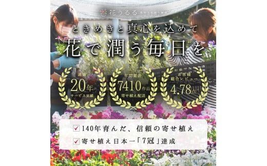 A031【ふるさと納税】花うるる 定期便 ハンギング 寄せ植え アレンジコース【全6回】 (サブスク ハンギングバスケット 母の日 春 夏 秋 冬 定期購入 ギフト 花 フラワー 玄関 プレゼント 通販 鉢植え おしゃれ 送料無料 玄関 ガーデニング フラワーギフト 完成品 花苗 寄植え