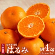 【2027年先行予約】【厳選・濃厚】 紀州有田産のはるみ 約4kg(サイズおまかせ)【ハルミ 春見 ミカン 蜜柑 柑橘 和歌山 有田】_ZD6376n