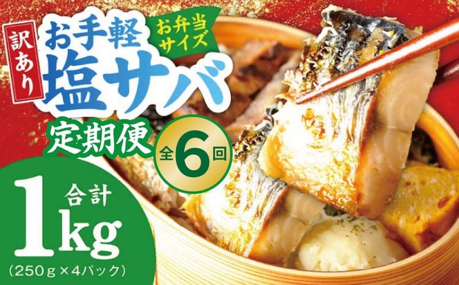099Z577 【定期便】塩さば 1kg（250g×4P）全6回【お弁当サイズ 生活応援 サバ 小分け 青魚 塩鯖 塩サバ 切身 塩焼き 焼きさば 焼き鯖 人気 冷凍 冷凍食品 おかず 惣菜 訳あり サイズ不揃い】