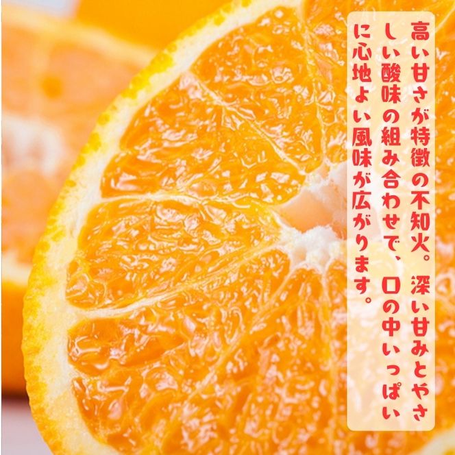 有田育ちの濃厚 不知火( デコポンと同品種)( 訳あり 家庭用 ) 5kg+200g(傷み補償分)