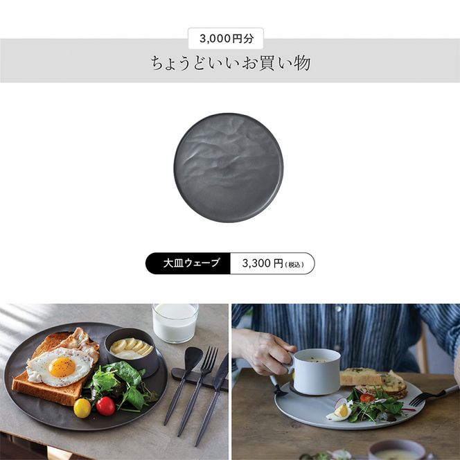 ARASのお買いものカード3,000円分  ARAS エイラス 割れない うつわ 贈り物 ギフト カタログギフト 1万円 10000円 F6P-2625