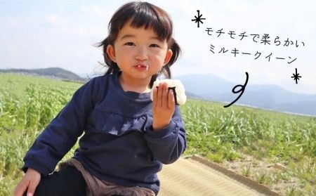【 全3回 定期便 】米 旋風 ヒノヒカリ 5kg 《糸島》【百笑屋】[ABF020]  米 お米 白米 精米 定期便 ひのひかり