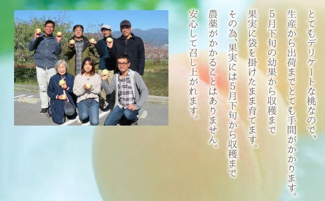 Snow Peachの桃レモンジャムスプレッドと桃バタースプレッドの詰め合わせ 208-004